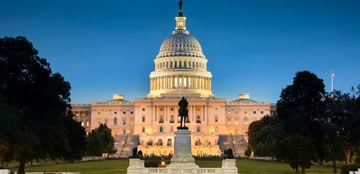 Government Consulting